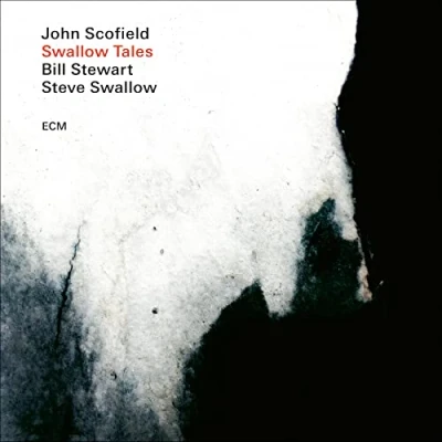 Imagen de Swallow Tales [Vinilo]