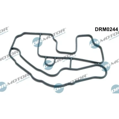 Imagen de DR.MOTOR AUTOMOTIVE DRM0244 Juntas RENAULT: Modus / Grand Modus, MEGANE 2 Stufenheck, CLIO 3