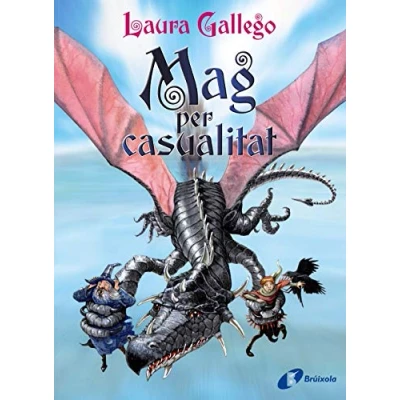 Imagen de Mag per casualitat (Catalá A PARTIR DE 10 ANYS PERSONATGES I SÈRIES Aventures causalitat)