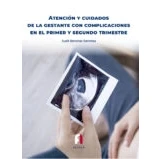 Imagen de Atencion Y Cuidados De La Gestante Con Complicaciones En El Primer S