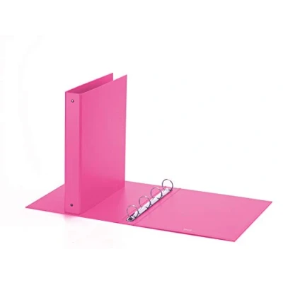 Imagen de Favorit Caja de 10 carpetas Europa, 22 x 30 cm, 4 anillos redondos mm, rosa