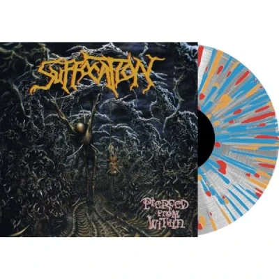 Imagen de Pierced from within [Vinilo]