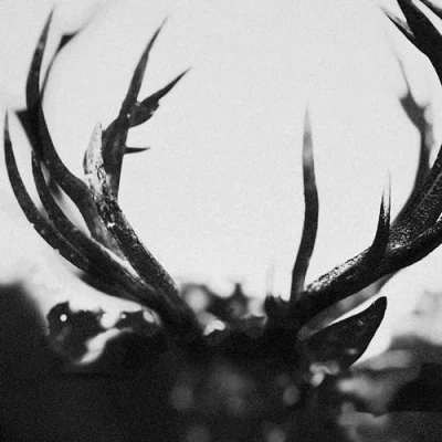 Imagen de Ihsahn [Vinilo]