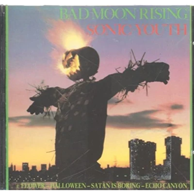 Imagen de Bad Moon Rising [Vinilo]