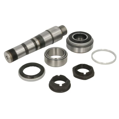 Imagen de Kit de reparación, pivote C.E.I 230170