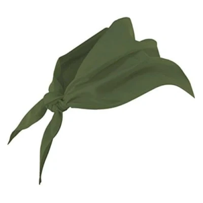 Imagen de VELILLA 404003 Pico, Color Verde Caza, Talla Unica