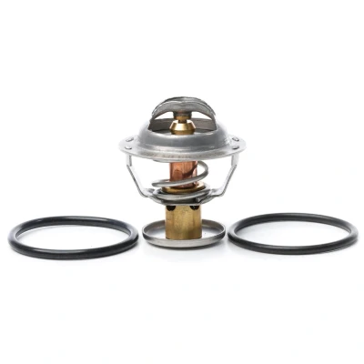 Imagen de METZGER 4006064 Termostato, refrigerante 87 con junta FORD: MONDEO 3, 3 Stufenheck, Kombi, JAGUAR: S Type, XF Berlina