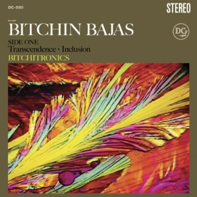 Imagen de Bitchitronics Vinilo