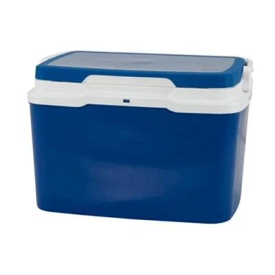 Imagen de Nevera 5l Azul campos