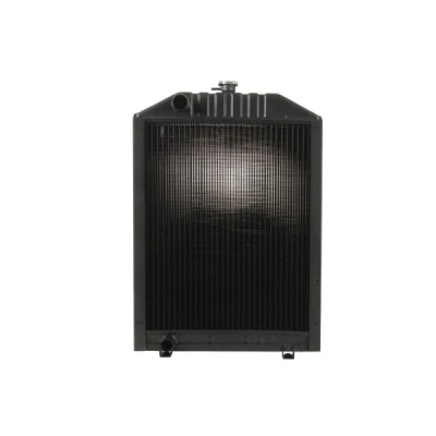 Imagen de Radiador, refrigeración del motor THERMOTEC D7AG045TT