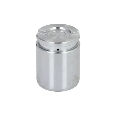 Imagen de Émbolo, pinza del freno AUTOFREN SEINSA D02593, Trasero
