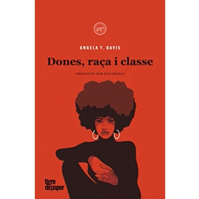 Imagen de Dones, raça i classe (3ªED) (ASSAIG)