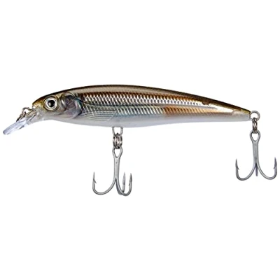 Imagen de Rapala X Rap Saltwater Sxr10 mm Ra5818216, Mangrove Minnow, 10