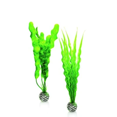 Imagen de biOrb Juego de plantas color verde en tamaño M