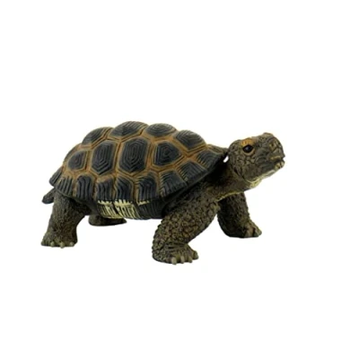 Imagen de Bullyland 63553 Figura de Juego, Tortuga terrestre, Aprox. 13 cm Altura, Pintada a Mano, sin PVC, para Que los niños jueguen Forma imaginativa, Color Colorido (63553)