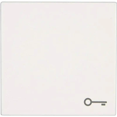 Imagen de JUNG LS990TWW Tecla Simple con Símbolo Puerta, Duroplástico (Resistente Al Rayado) Brillante, Blanco Alpino