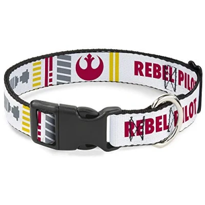Imagen de Collares de Moda para Mascotas con Hebilla