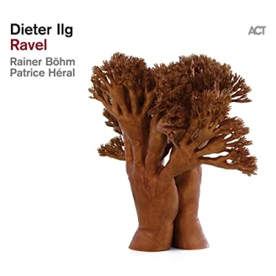 Imagen de Ravel [Vinilo]