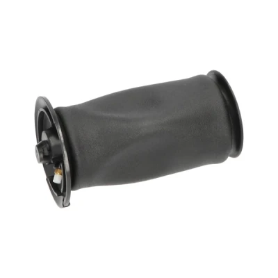 Imagen de Muelle neumático, suspensión KAVO PARTS SAS 10005
