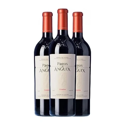 Imagen de Pagos de Anguix Costalara Tempranillo Ribera del Duero 75 cl Vino tinto (Caja 3 Botellas cl)