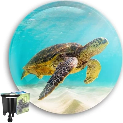 Imagen de Premium Tapón 40 mm de Lavabo con Motivo Turtle Tortuga 40mm Desagüe Universal Cromado Goma Excéntrico Ajustable en Altura Inoxidable.