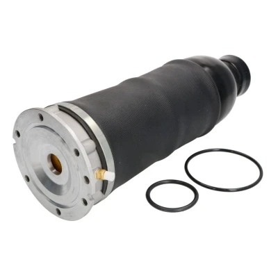 Imagen de Magnum Technology MZA008MT Muelle neumático, suspensión Eje delantero, izquierda, derecha AUDI: Allroad C5