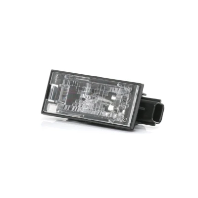 Imagen de TYC 15 0221 00 2 Luz Matricula W5W ambos lados con bombilla RENAULT: MEGANE Coupe Cabriolet, CLIO 3, Kangoo II Express, DACIA: SANDERO 2, LOGAN