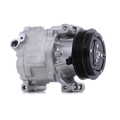 Imagen de DENSO DCP09061 Compresor de Aire Acondicionado SCSB06C 12 PAG 46 YF R 134 a, 1234yf con acoplamiento magnético FIAT: 500 Hatchback norauto, oscaro,