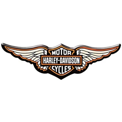 Imagen de Pegatinas retro reflectante para casco de motocicleta Harley Davidson alas resina