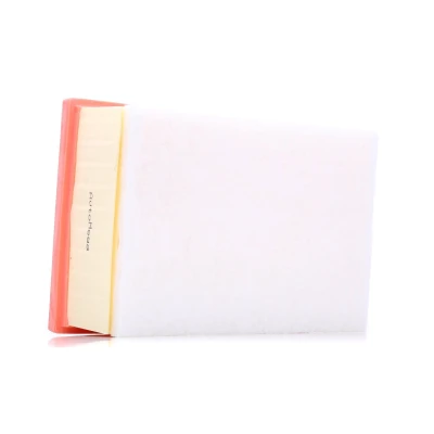 Imagen de AUTOMEGA 180029010 Filtro de aire 77 168 246 rectangular Cartucho filtrante PEUGEOT: 307 Hatchback, SW, Familiar, CITROËN: C4 I Hatchback