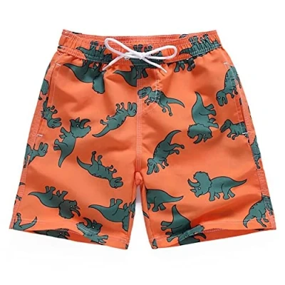 Imagen de FedMois Shorts de Playa Bañador Niños con Forro Mesh (Pack 1), Dinosaurio, 13 14 años
