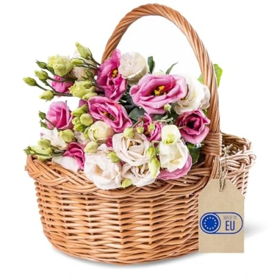 Imagen de Creative Home Cesta de Mimbre con Asa 35 x 30 cm (+/ 1cm) Ligera para Regalo Picnic Plantas Almacenaje Decoración Pacua Tejida a Mano Marrón Natural Multiuso, Práctica y Duradera