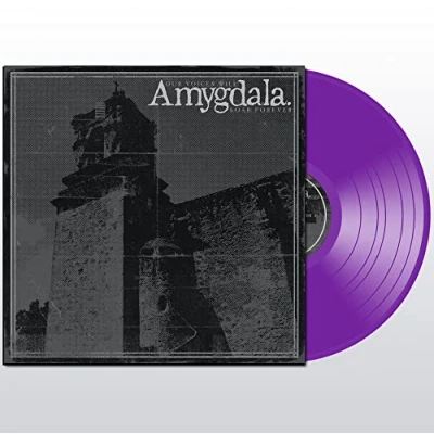Imagen de Our Voices Will Soar.. Vinilo