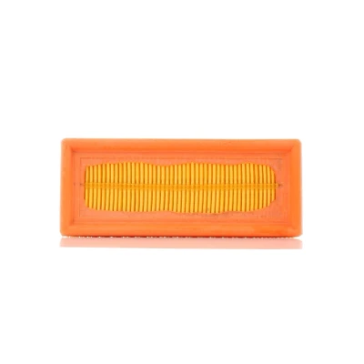 Imagen de PURFLUX A1123 Filtro de aire 58 77 185 Cartucho filtrante RENAULT: CLIO 2, Kangoo I, I Express, NISSAN: Kubistar Furgón
