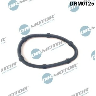 Imagen de DR.MOTOR AUTOMOTIVE DRM0125 Junta Colector de Escape Cabeza cilíndrica RENAULT: LAGUNA 2, CLIO Kangoo I, OPEL: Vivaro A Furgón, Combi