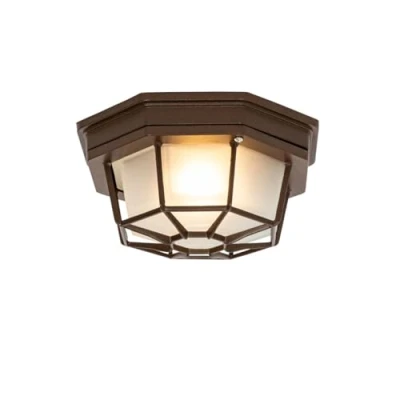 Imagen de Qazqa rústico Plafón marrón óxido 21,3 cm IP44 Bri Aluminio/Vidrio Redonda Adecuado para LED Max. 1 x 60 Watt