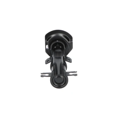 Imagen de KAVO PARTS SSA 10097 amortiguador Eje delantero Presión de gas Bitubular Columna Espiga arriba FIAT: Stilo Hatchback