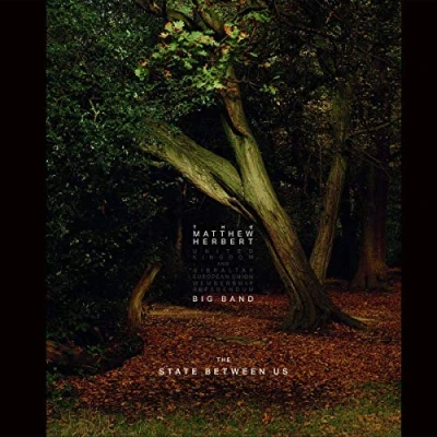 Imagen de The State Between Us 3 Vinilos Matthew Herbert Big Band