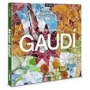 Imagen de Ed. Pocket Obra Completa Antoni Gaudi (italiano)