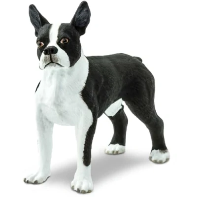 Imagen de Safari Boston Terrier, Estampado de Animal, Multicolor (S255029)