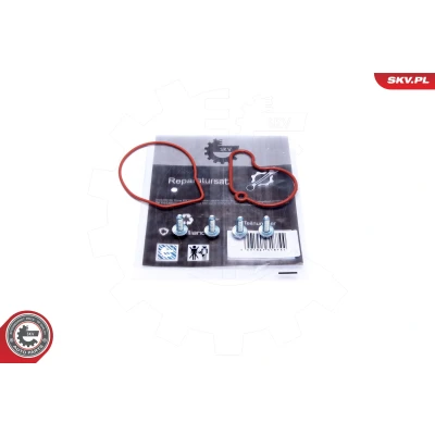 Imagen de ESEN SKV 18SKV807 Kit reparación bomba tándem SEAT: Toledo 2 Limousine, Leon I Hatchback, Ibiza 3, VOLKSWAGEN: Golf 4, 4 Variant