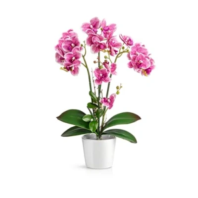 Imagen de PASCH® orquídeas artificiales en macetas de cerámica brillante (46 cm), flores maceta, como auténticas,