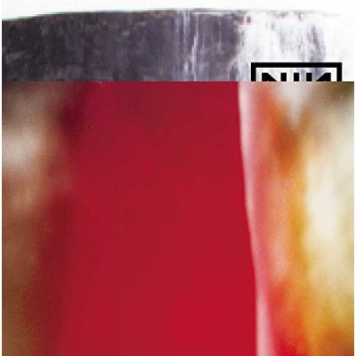 Imagen de The Fragile [Vinilo]