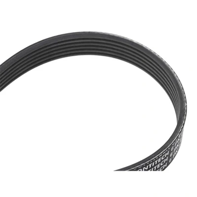 Imagen de CONTITECH 6PK1715 Correa trapecial poli V 1715 6 FORD: Focus Mk1 Berlina, Hatchback, Transit Connect Furgón, MITSUBISHI: Outlander II