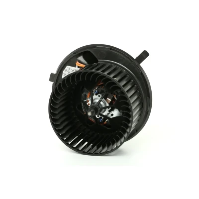 Imagen de VALEO 698811 Ventilador de Calefacción para vehíc. con volante a la izquierda resistencia VOLKSWAGEN: Golf 5, Caddy 3, Passat B6 Variant