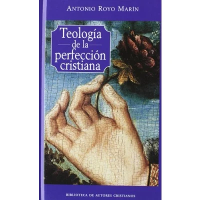 Imagen de Teología de la perfección cristiana: 114 (NORMAL)