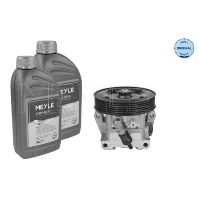 Imagen de MEYLE 714 631 0025/S Bomba de Direccion hidráulico Con cant. aceite para descarga FORD: Focus 2, C Max, Max