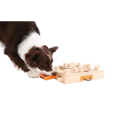 Imagen de My Intelligent Dogs Mid de SCH Inteligencia Juguete para Perros, Tortuga, M