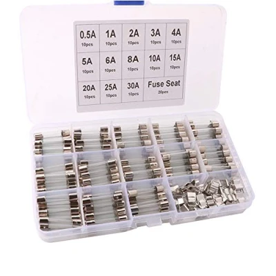 Imagen de FULARR 150Pcs 6X30mm Profesional Coche Vidrio Tubo Fusible Kit: 130Pcs Rapido Soplo + 20Pcs Clip, con Transparente Plástico Caja