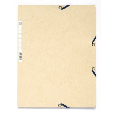 Imagen de Exacompta 55532E Carpeta con goma, A4, color beige